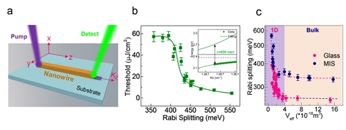 钙钛矿微腔光子-激子强耦合及激光器件研究取得进展