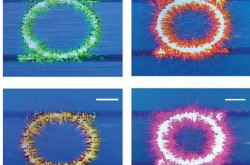 芯片级颜色转换激光器研究取得进展，或应用于量子技术