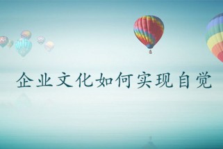 企业如何实现企业文化自觉
