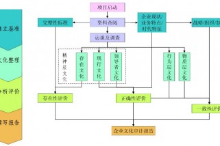 企业文化审计的操作流程