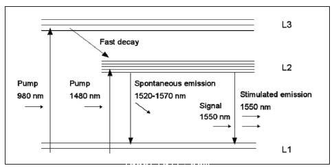图 5. EDFA 中的自发辐射和受激辐射