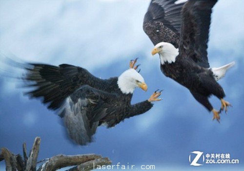 激光颠覆传统消费观 工程放映各领风骚