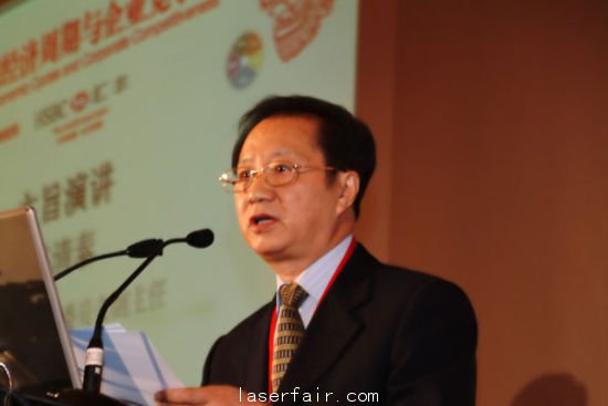 全国政协常委、经济委员会副主任陈清泰