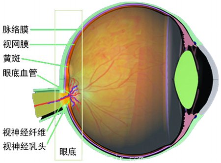 商报记者 吴大强