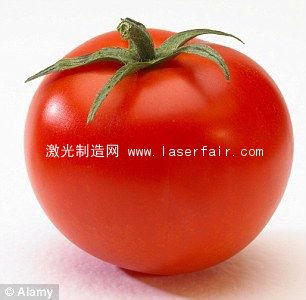 英尝试&ldquo;纹身&rdquo;水果激光条码令顾客更方便(图)