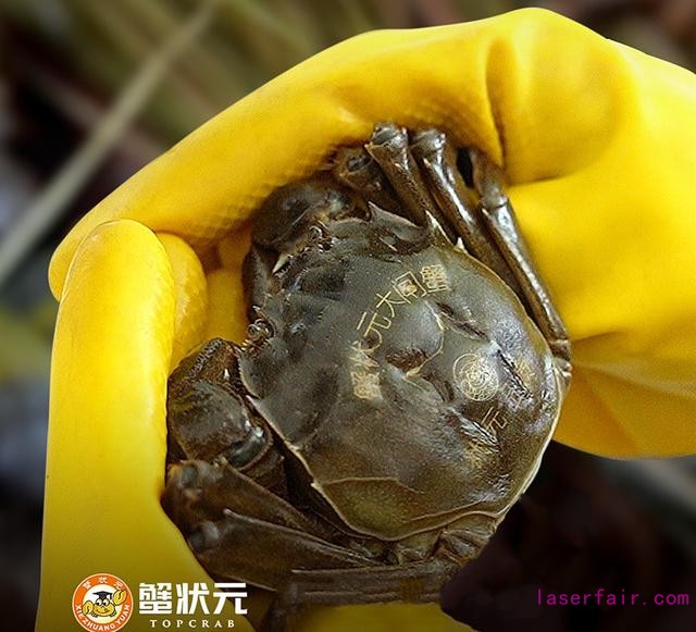 武汉纹身大师排行_辣眼睛!湖南22岁文身师跑到武汉东湖拍裸泳视频发朋友圈,警方:你...