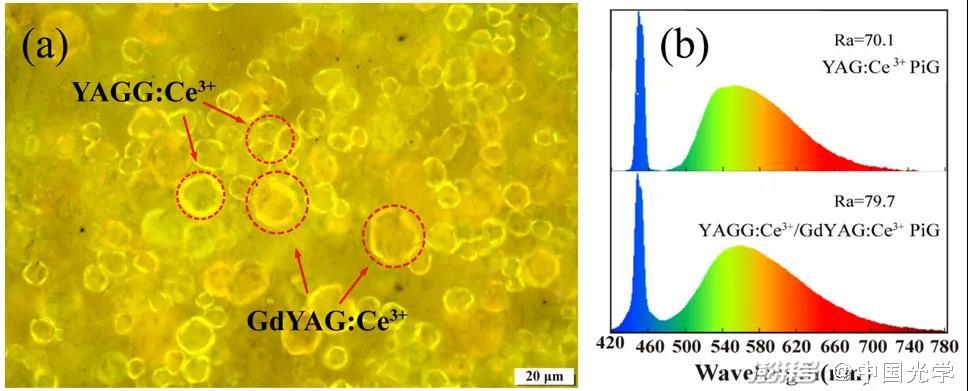 图1：YAGG:Ce³⁺/GdYAG:Ce³⁺复合荧光玻璃的（a）微观结构及（b）与蓝色激光组合的发射光谱
